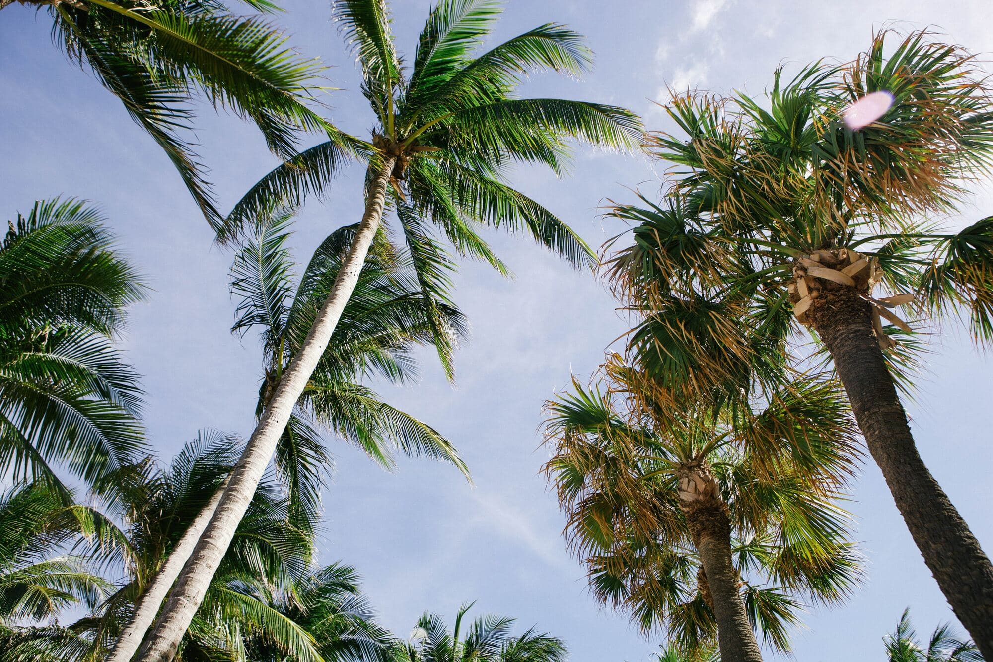 Fort Lauderdale, Florida
