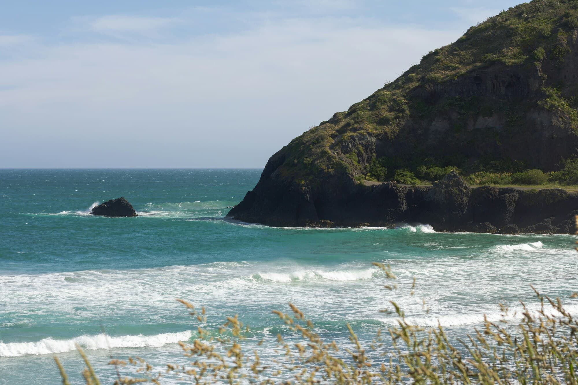 Dunedin