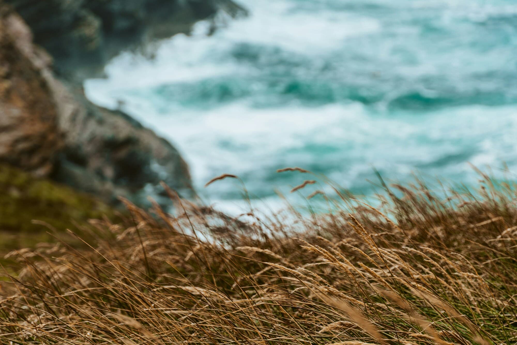 Falkland Islands