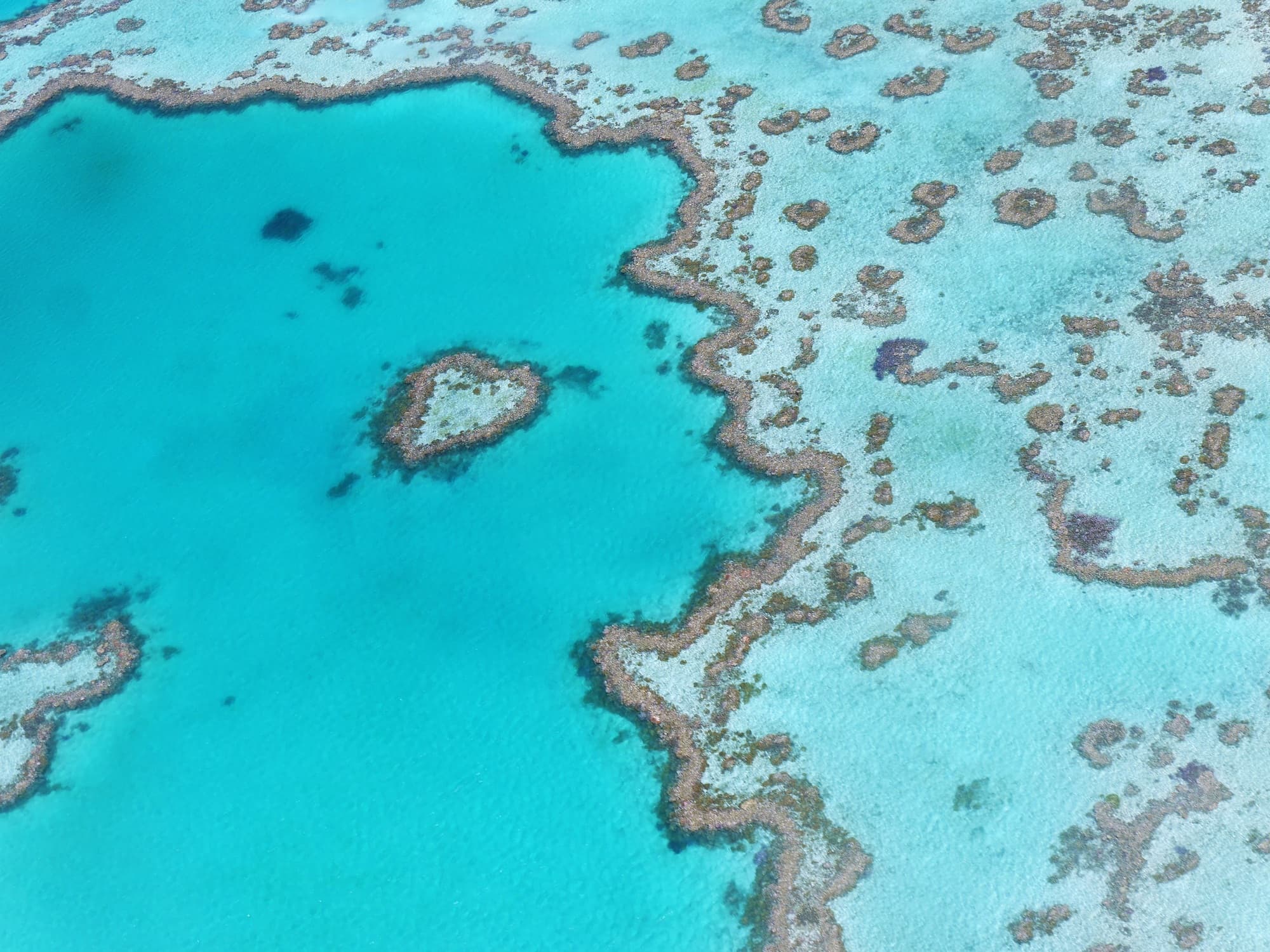 Cairns, Queensland