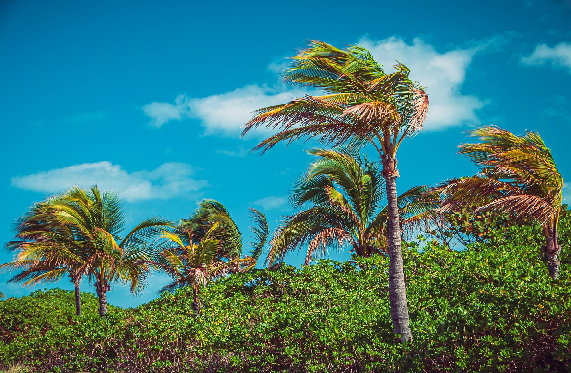 Castaway Cay