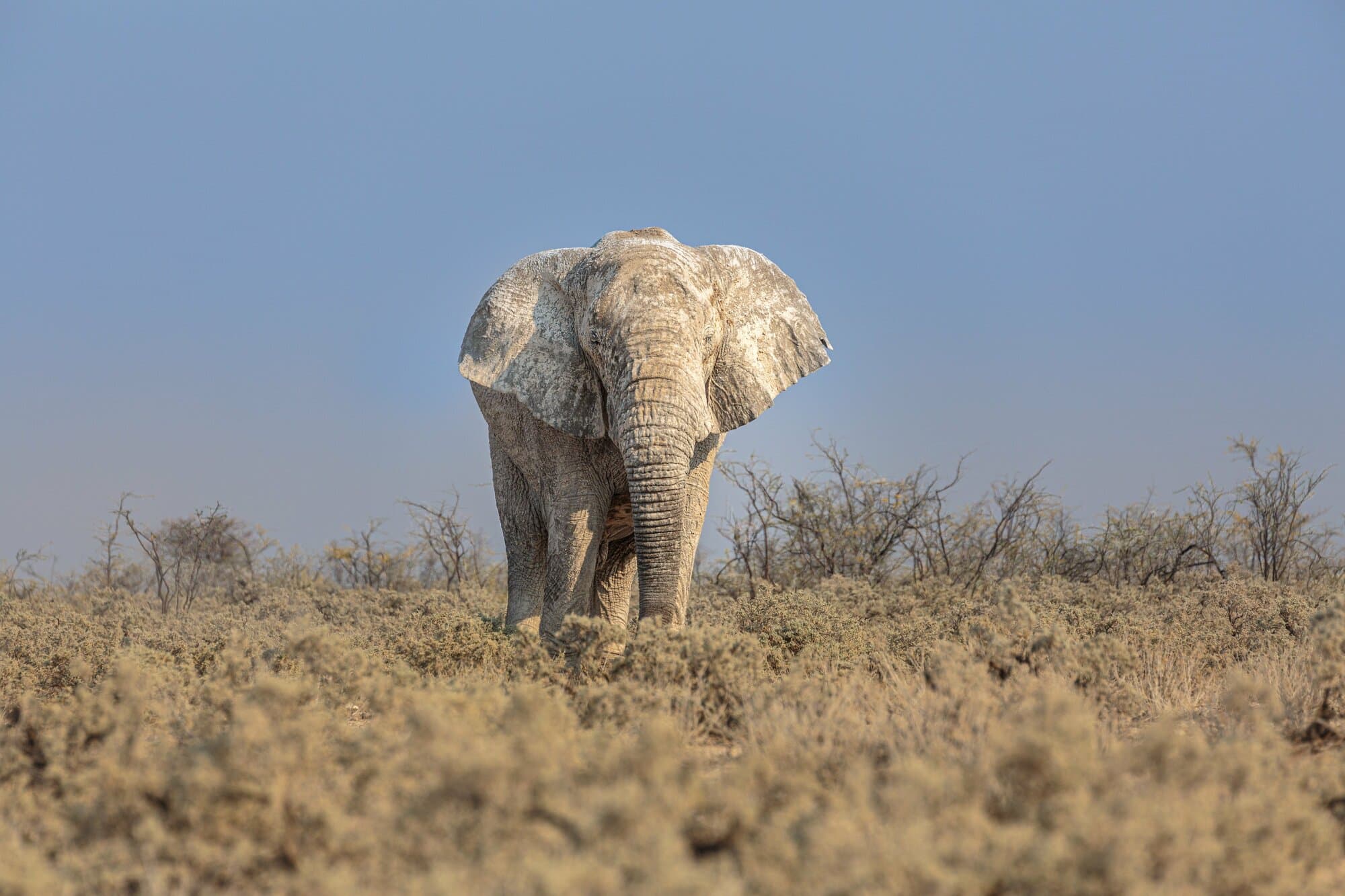 Kruger National Park