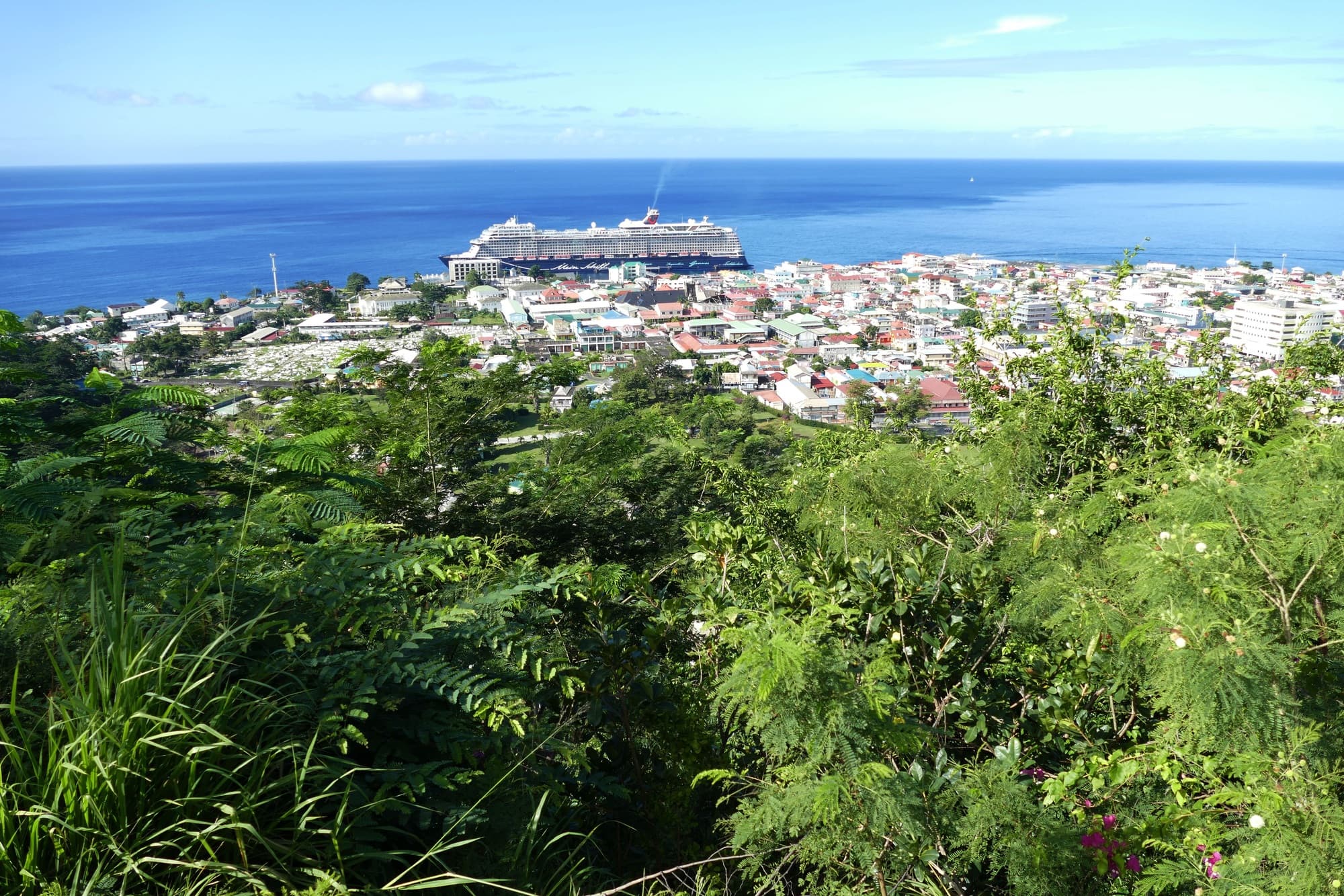 Roseau