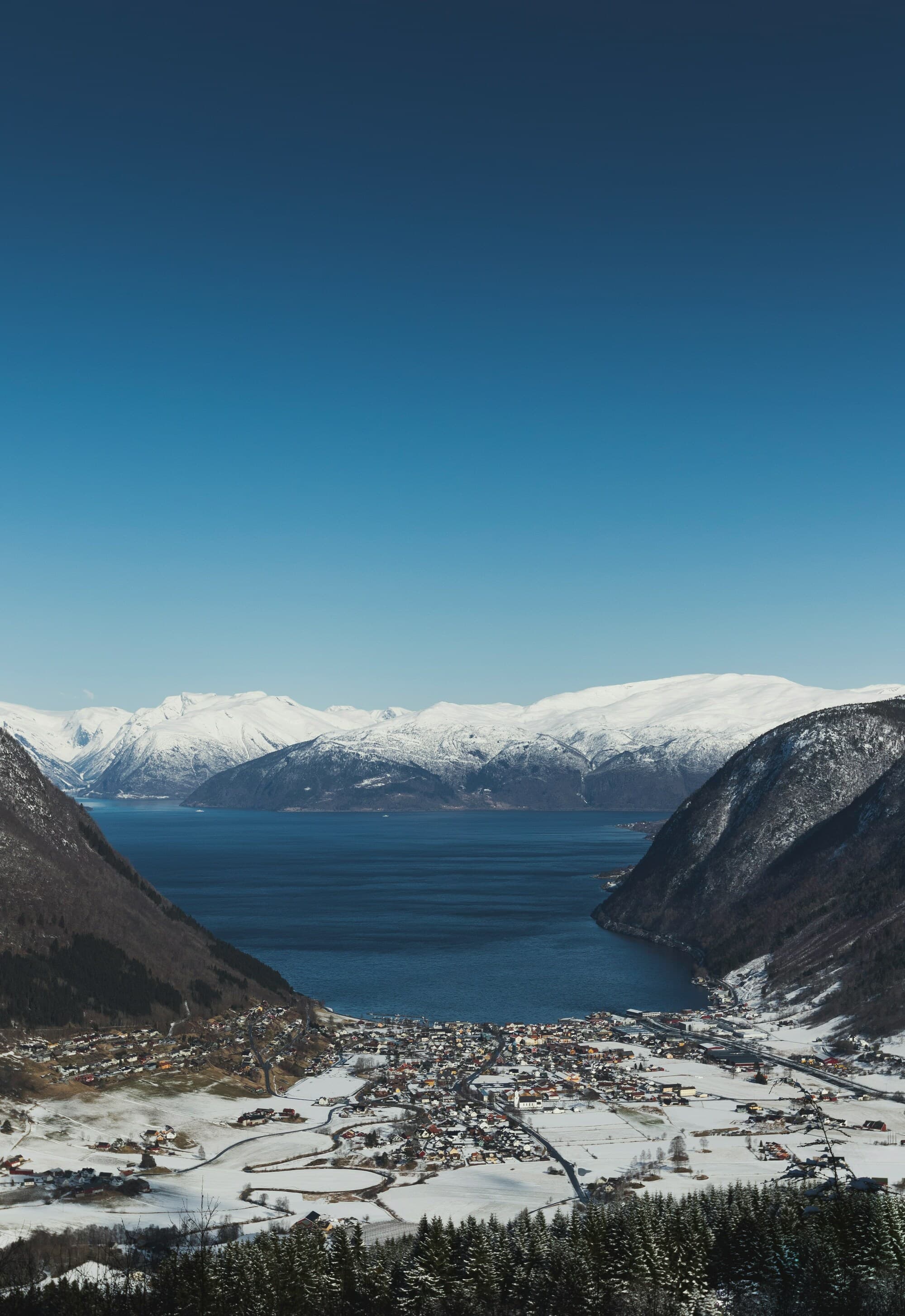 Vik