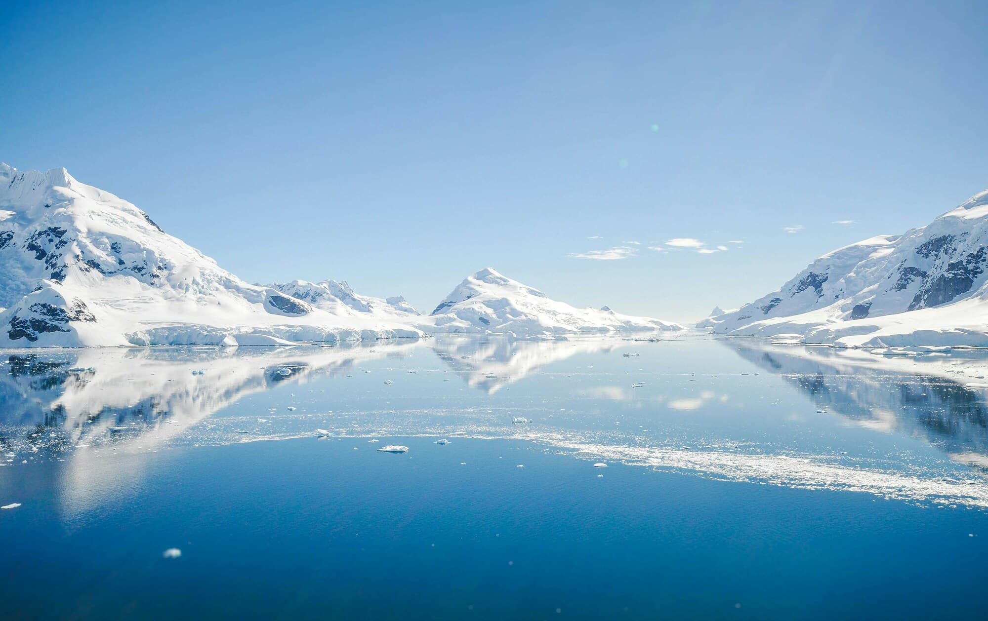 Antarctic Experience