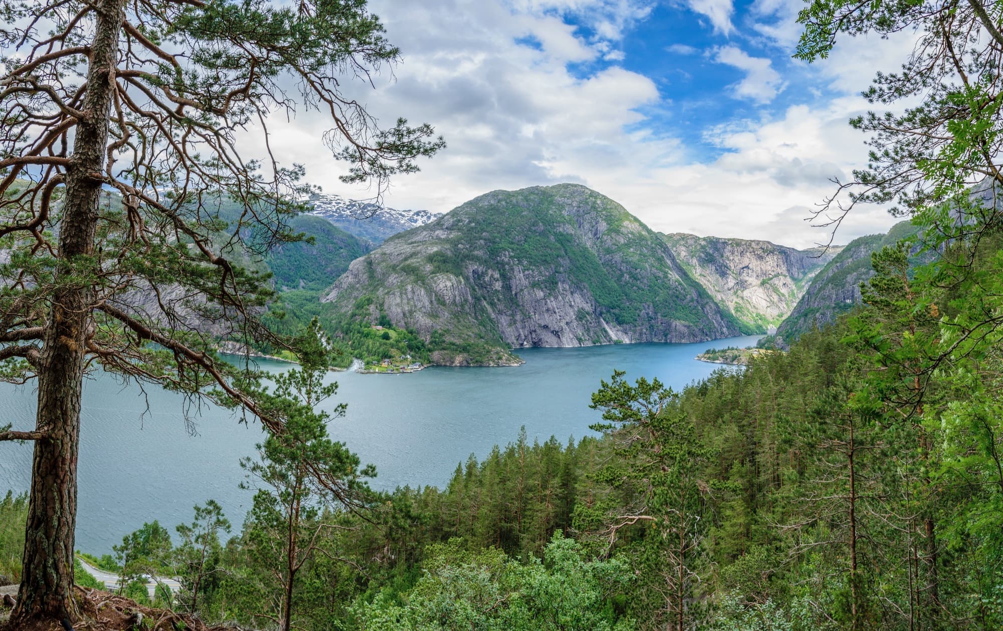 Nordfjordeid
