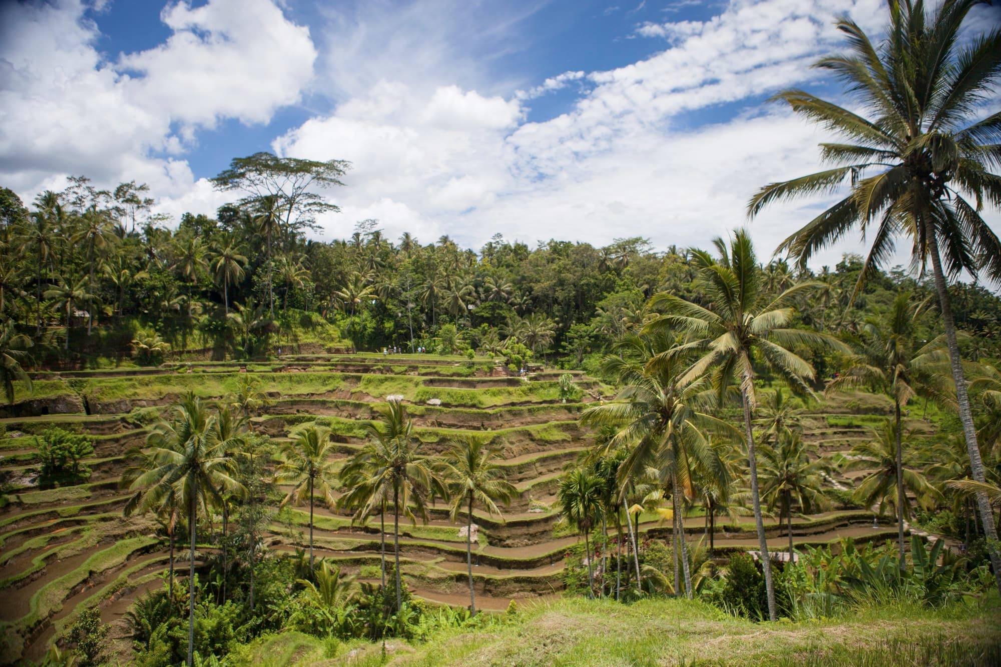 Benoa, Bali