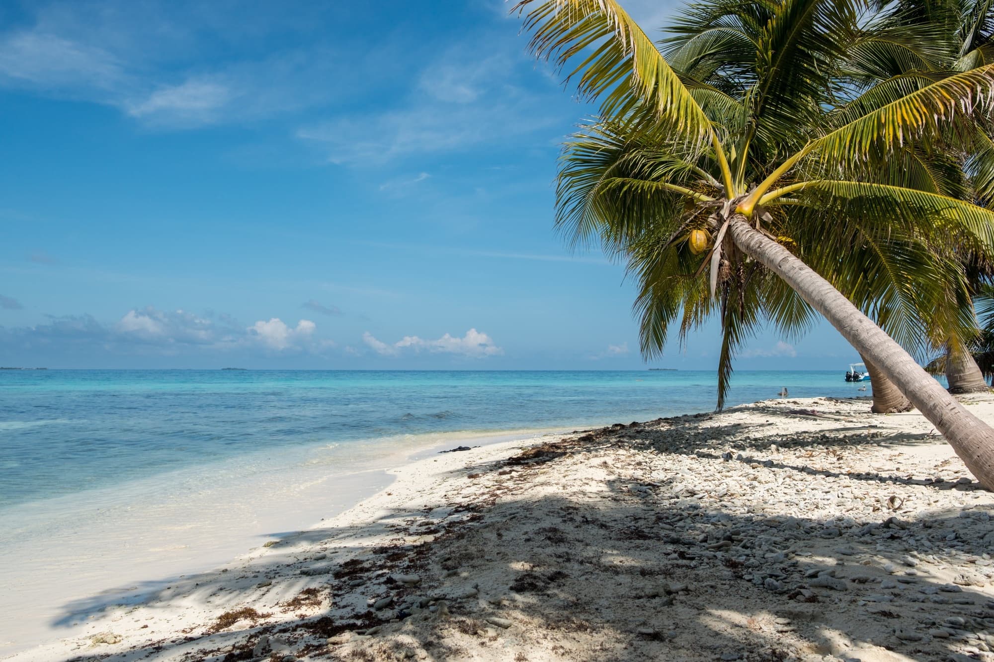Harvest Caye
