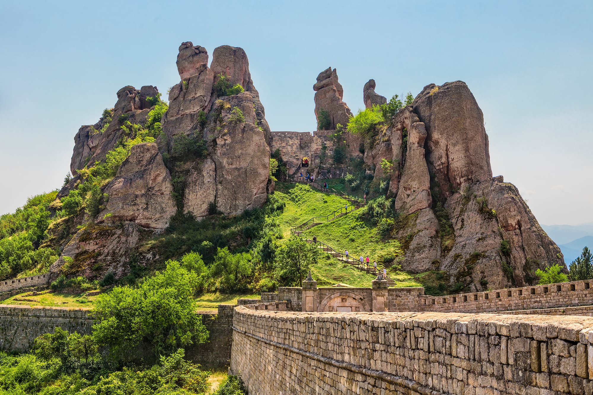 Vidin