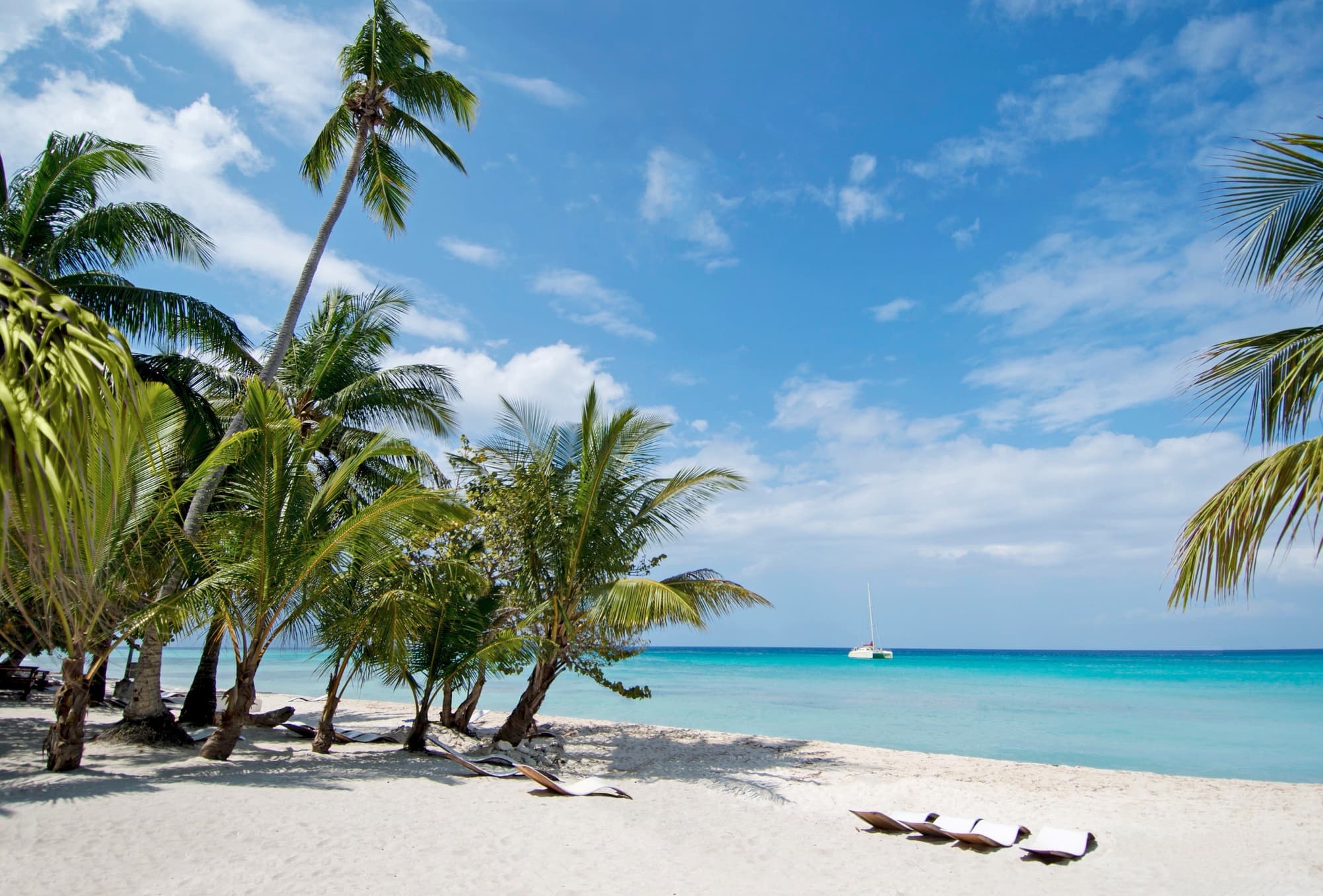 Respecting the Places We Visit: MSC Protectours
