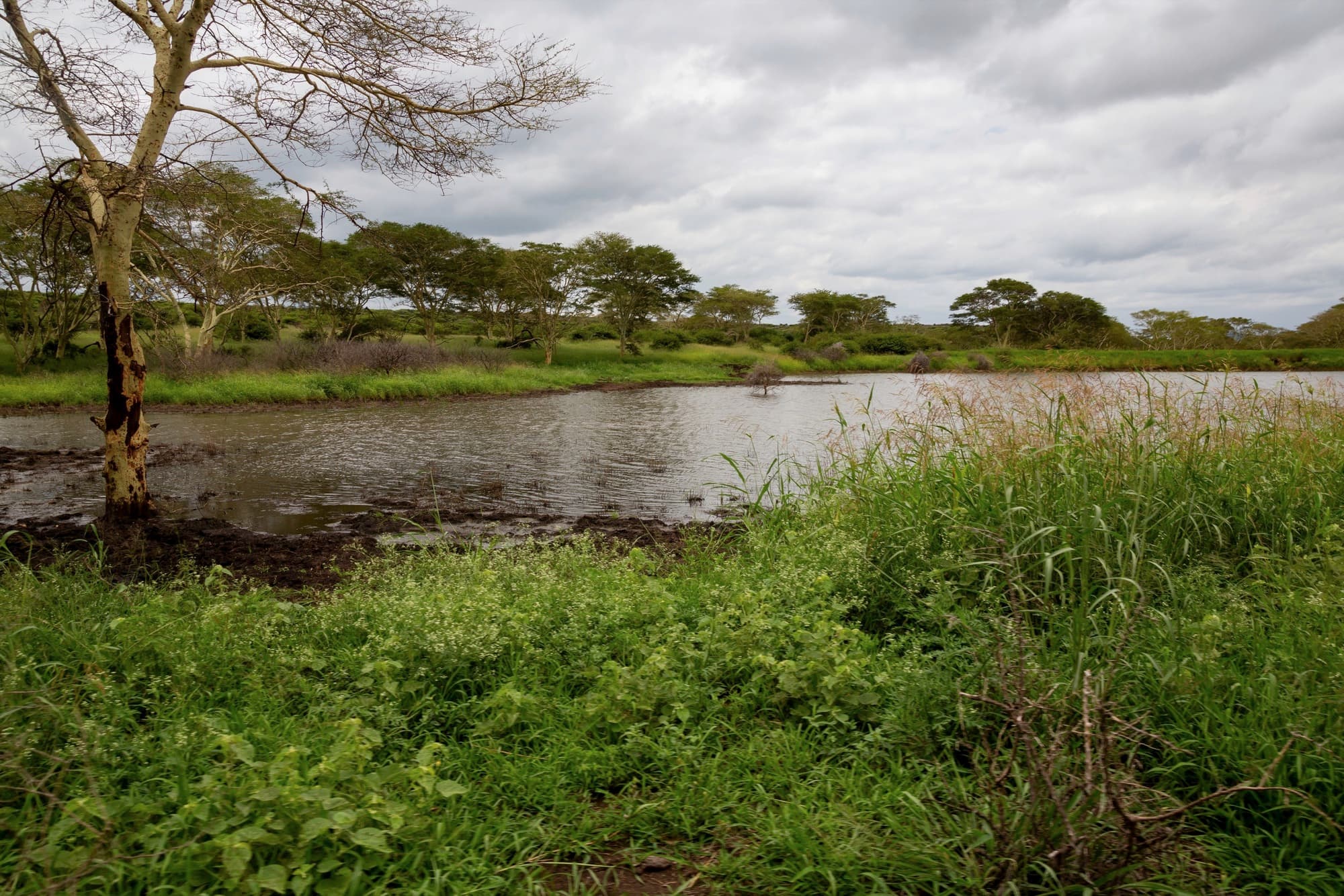 Richards Bay