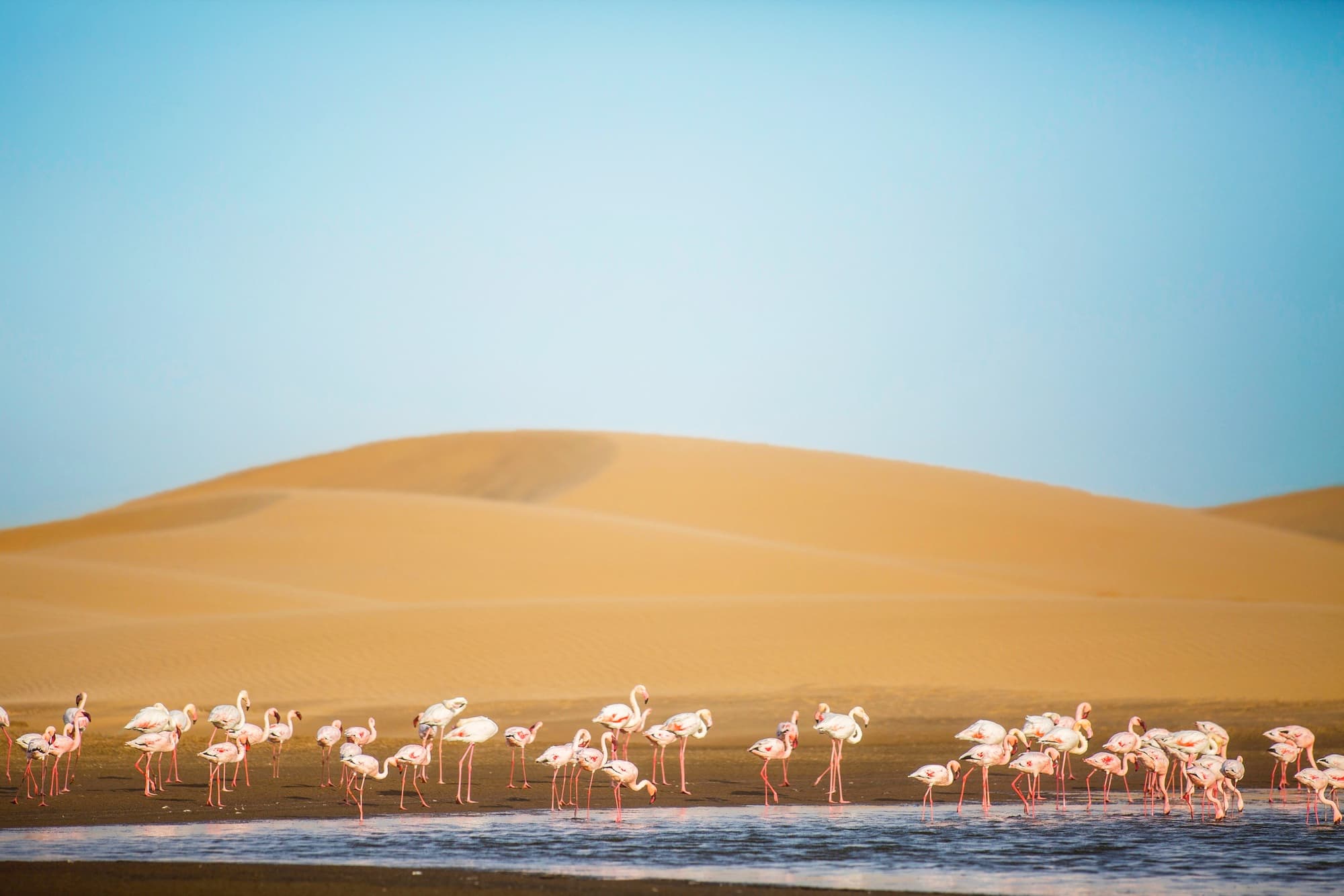 Walvis Bay