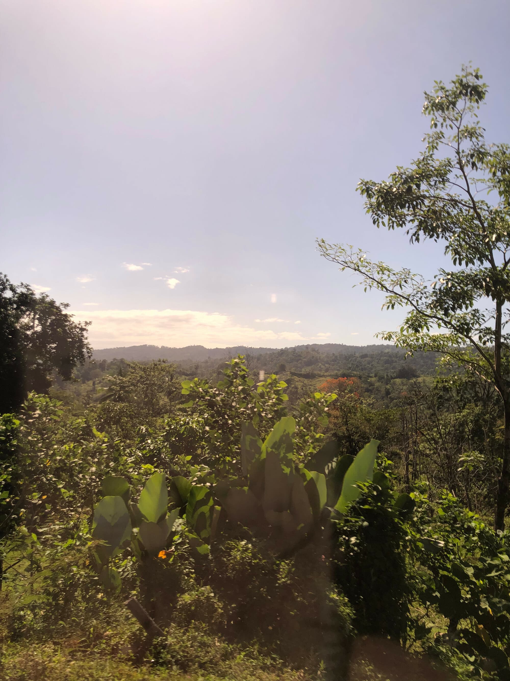 Puerto Limón