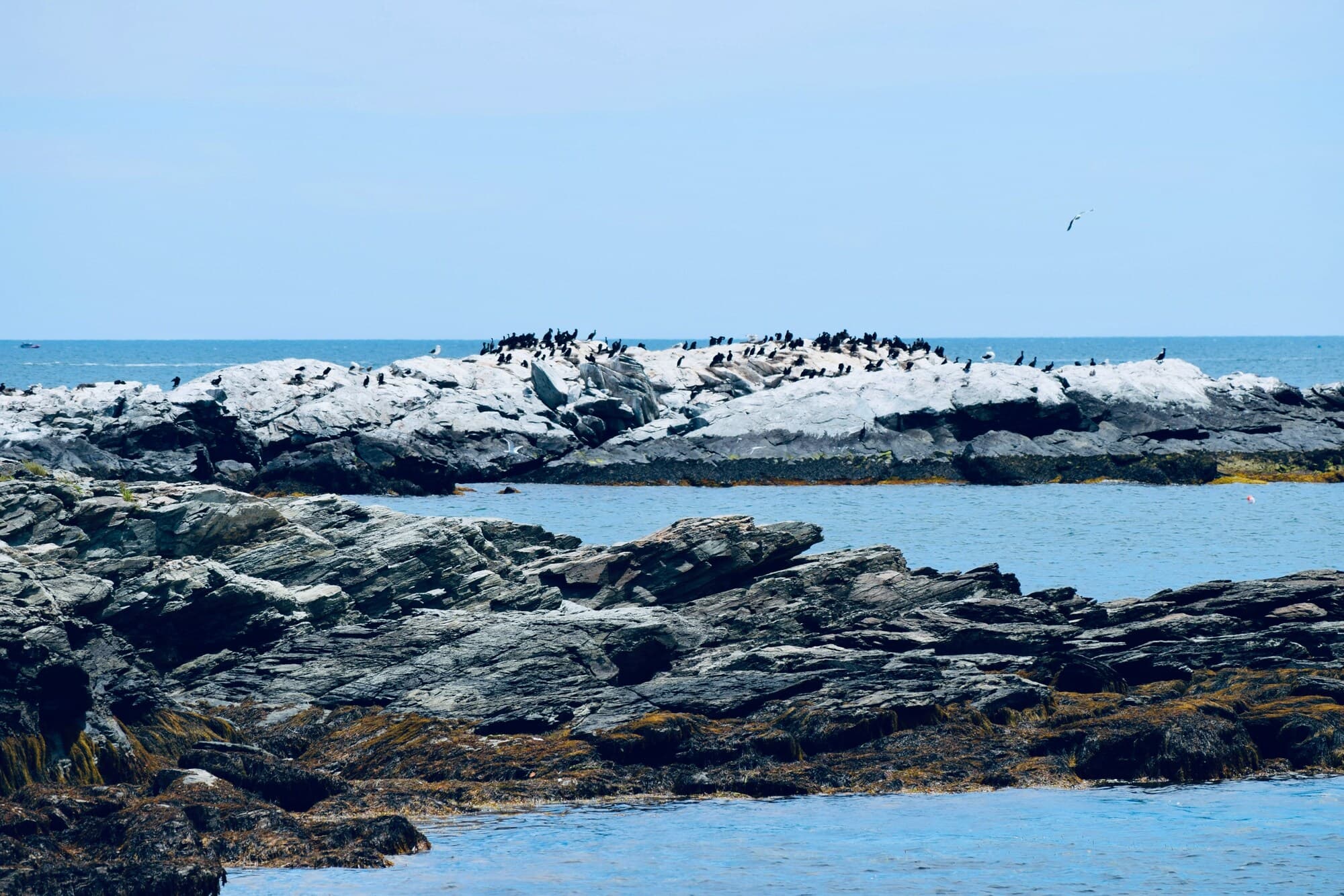 Newport, Rhode Island