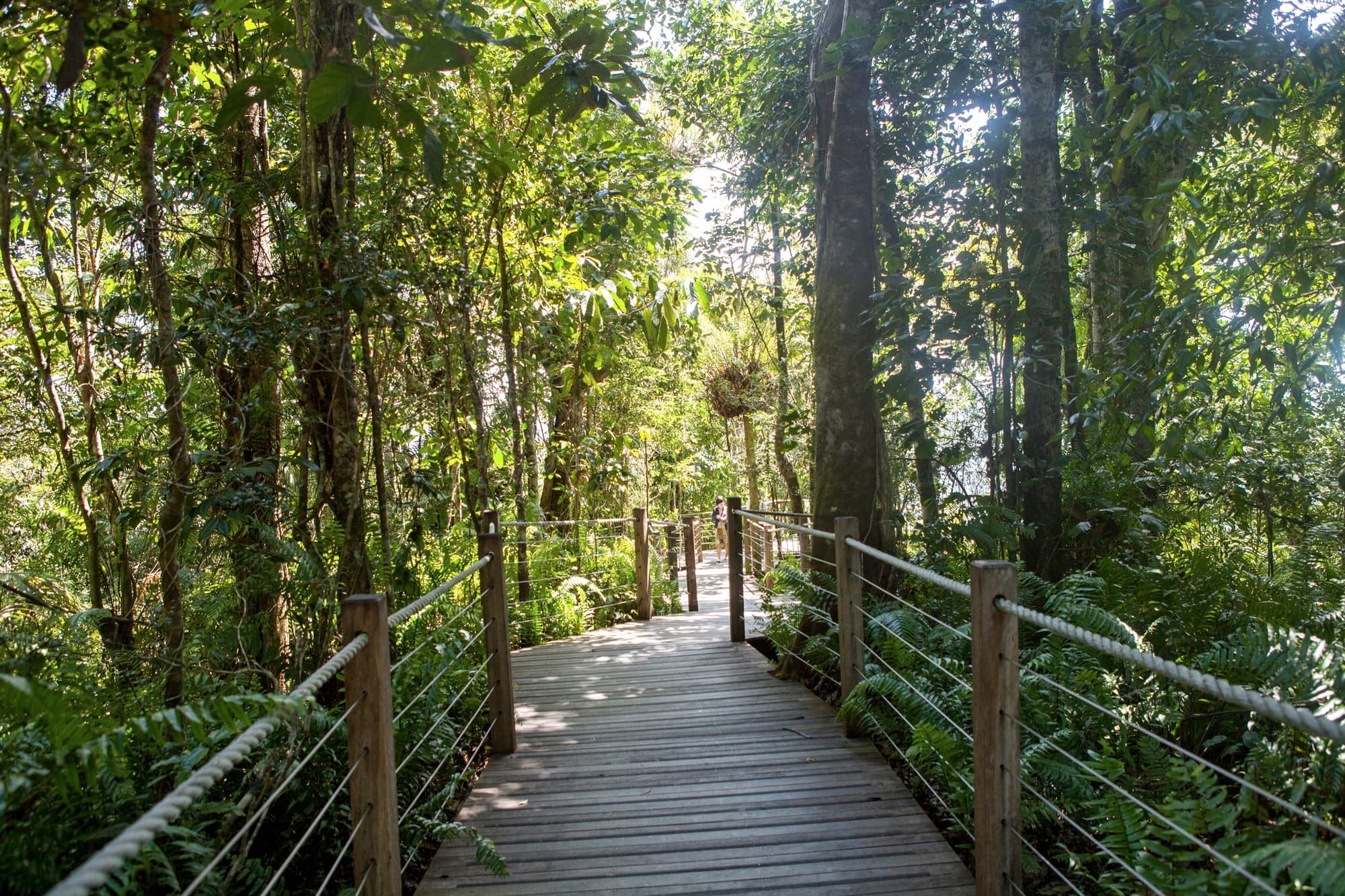 Cairns, Queensland