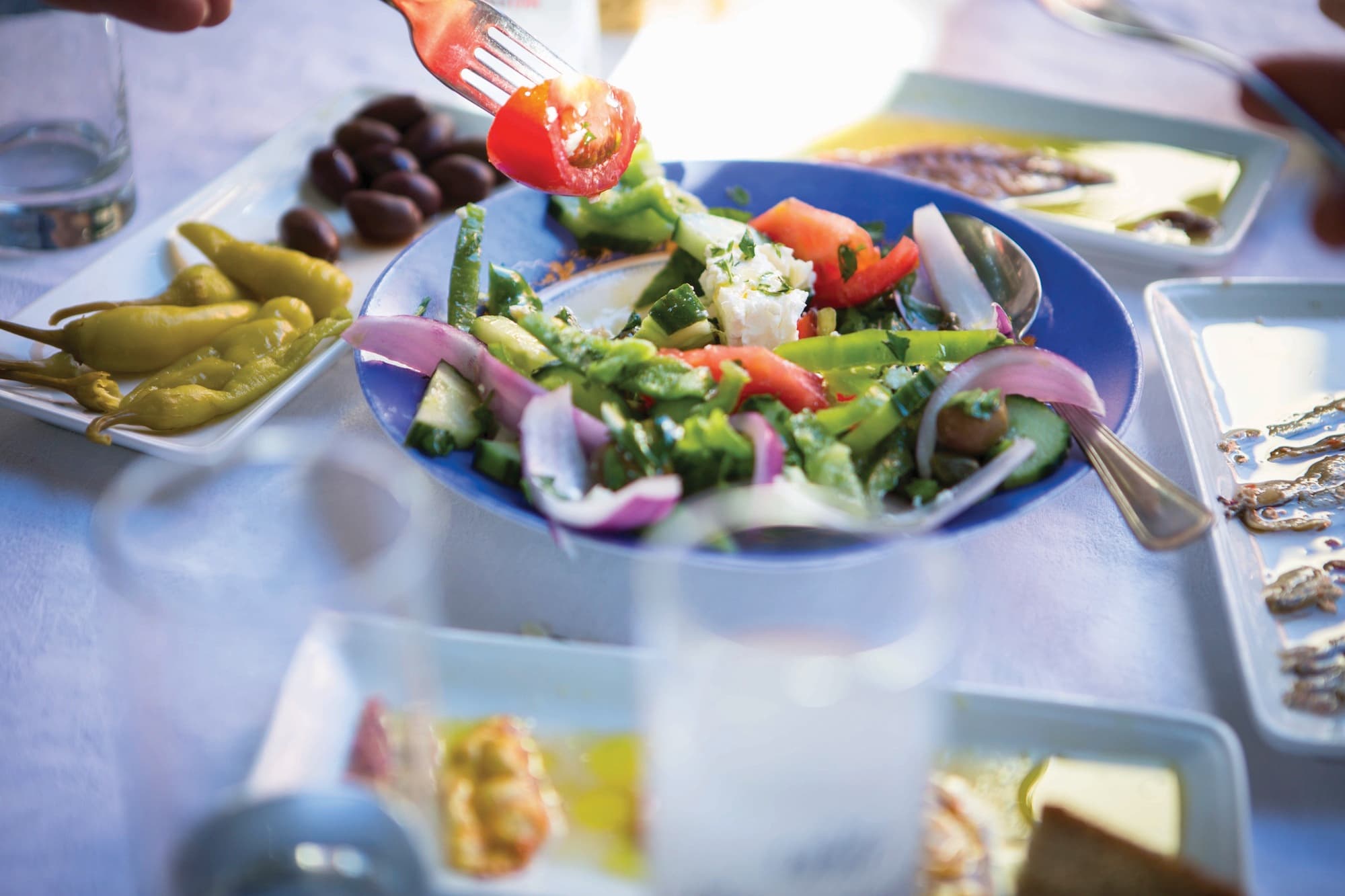 Epicurean Explorer Tours