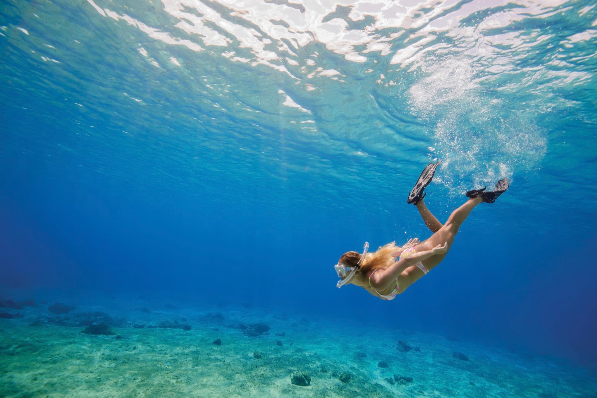 Scuba Excursions