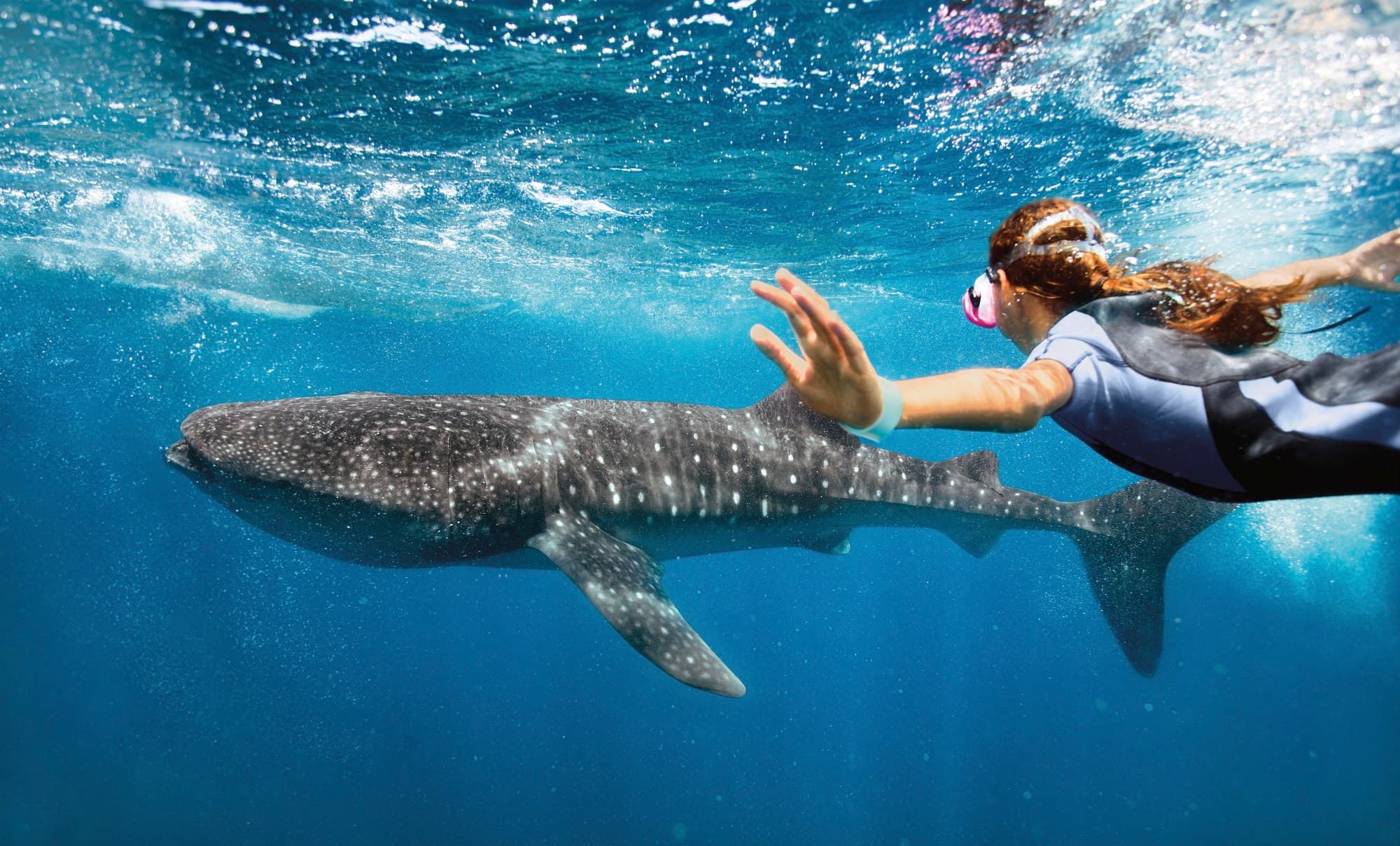 Snorkel Excursions
